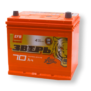 zver azia efb